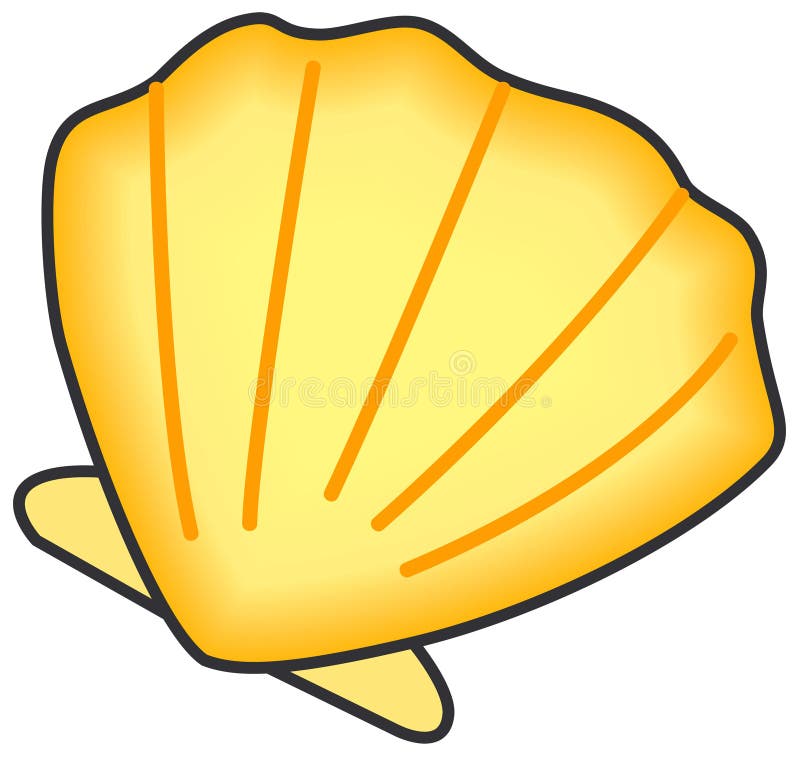 Shell of clam. stock vector. Illustration of ocean, shell - 8103072