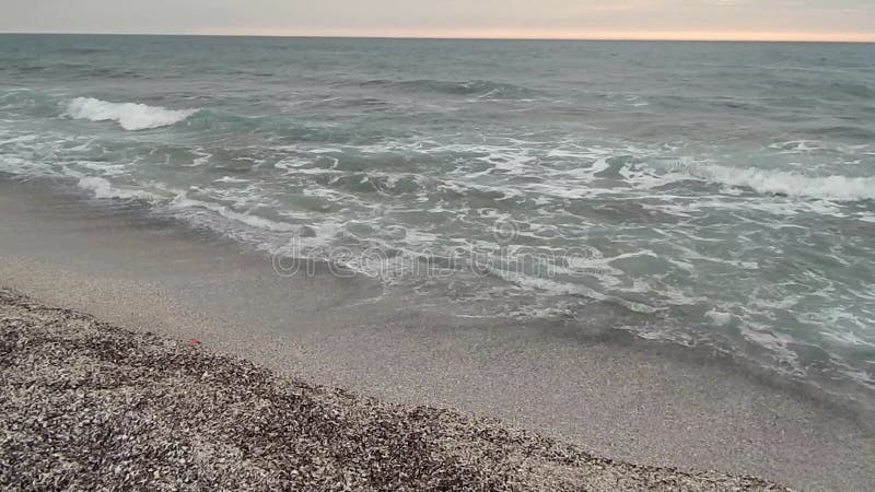 Shell coast of the Caspian Sea.