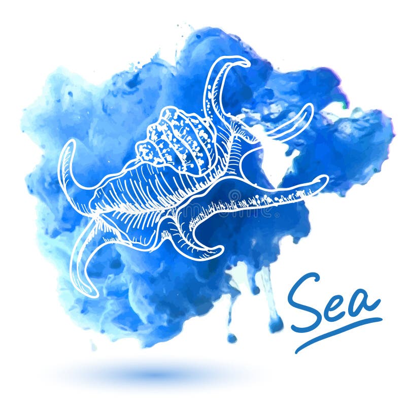 Shell del mar libre illustration Shell del mar libre illustration
