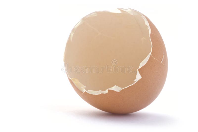 Shell des Eies. lizenzfreies stockbild Shell des Eies. lizenzfreies stockbild