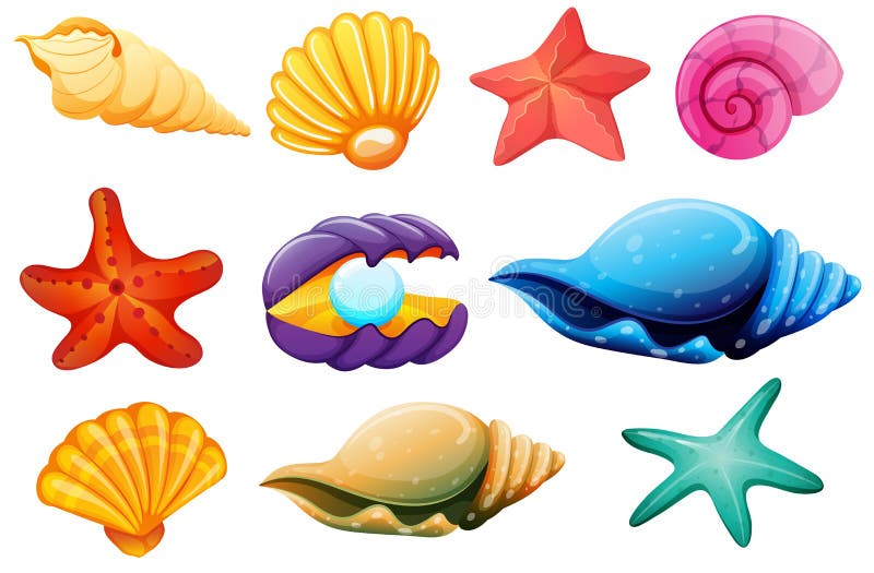 Shell kolekcja ilustracji Shell kolekcja ilustracji
