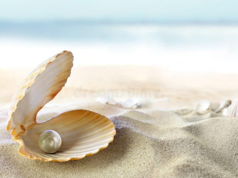 Shell mit einer Perle lizenzfreies stockfoto Shell mit einer Perle lizenzfreies stockfoto