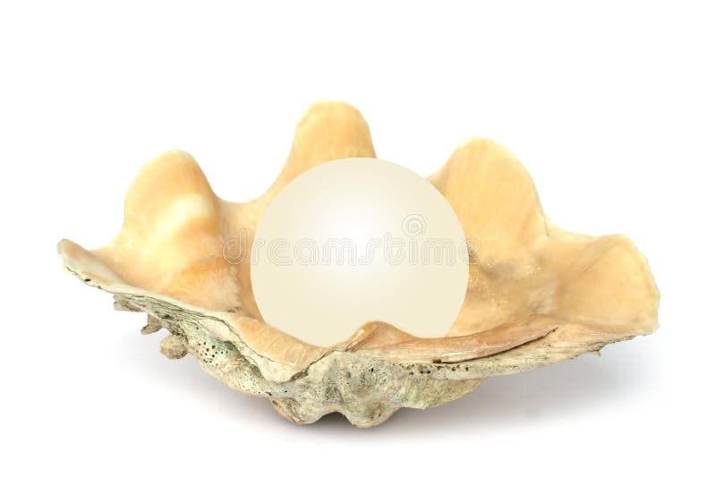 Shell with Orb vector illustration