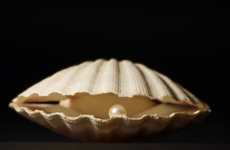 Shell with Pearl