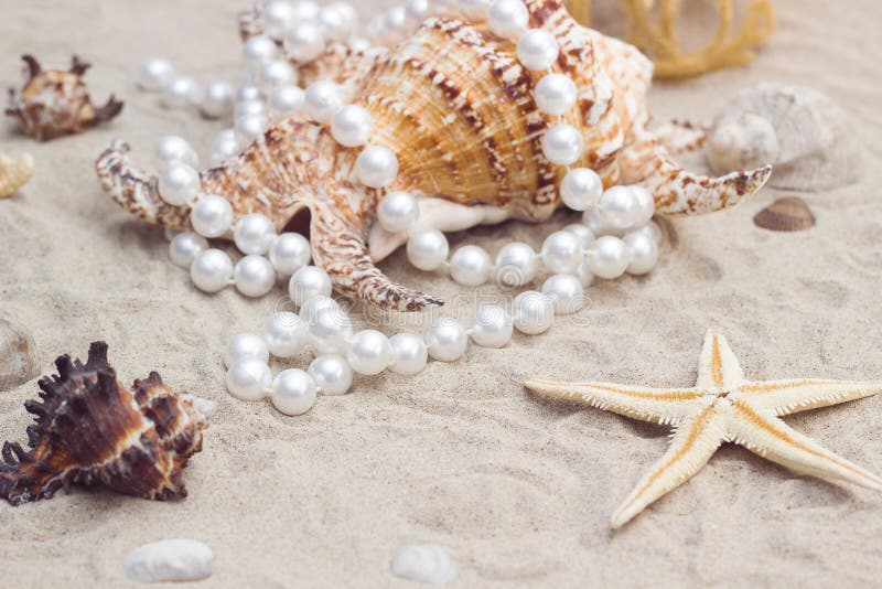 Shell with Pearls on a Sandy Beach Stock Image - Image of positive ...