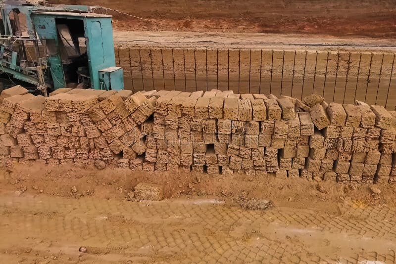 Shell Quarry Quarry. Cutting Seashell into Blocks Right Away in a