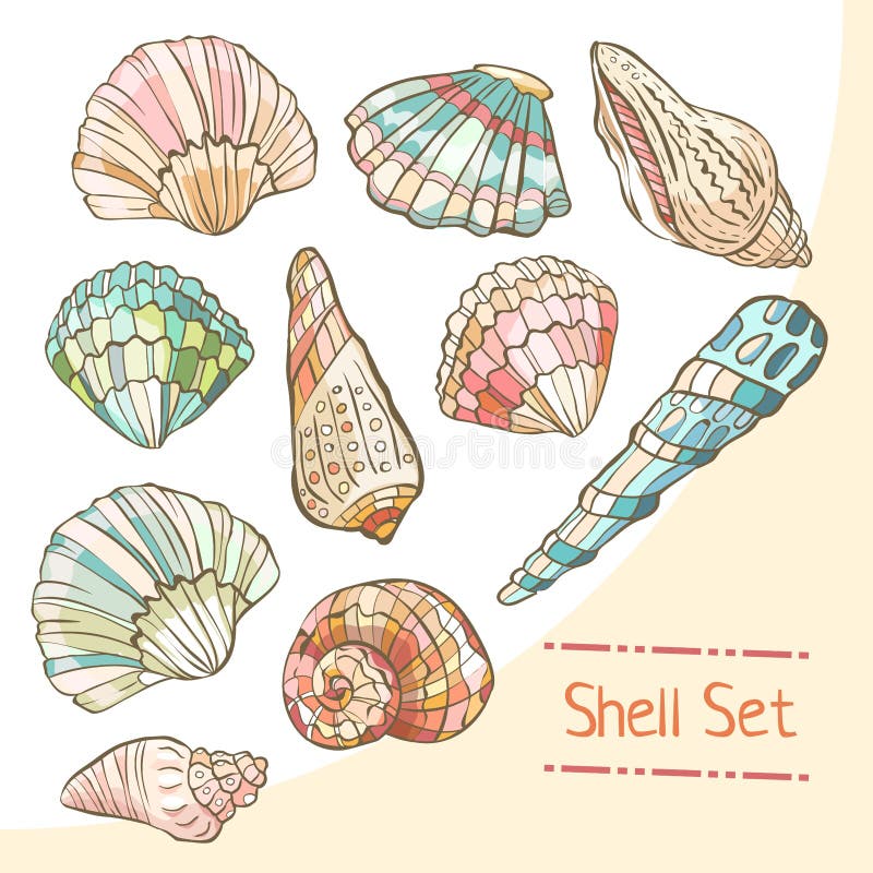 Shell set. Срисовки для ЛД лето морские ракушки.