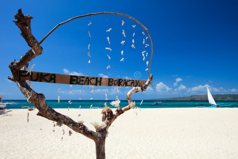 Shell van Puka strand royalty-vrije stock foto Shell van Puka strand royalty-vrije stock foto