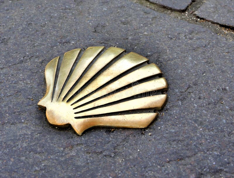 Shell in the Way of St James stock photography