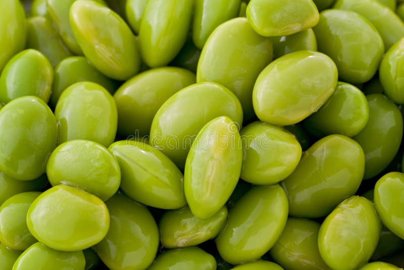 Shelled Edamame stock image. Image of plate, dish, placemat 27877541