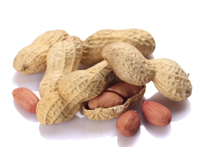 Shelled peanuts stock image. Image of healthy, horizontal 143137463