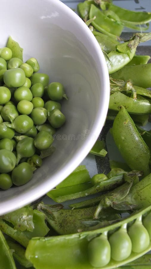 Shelled sugar snap peas stock photo. Image of fresh, food 26466672