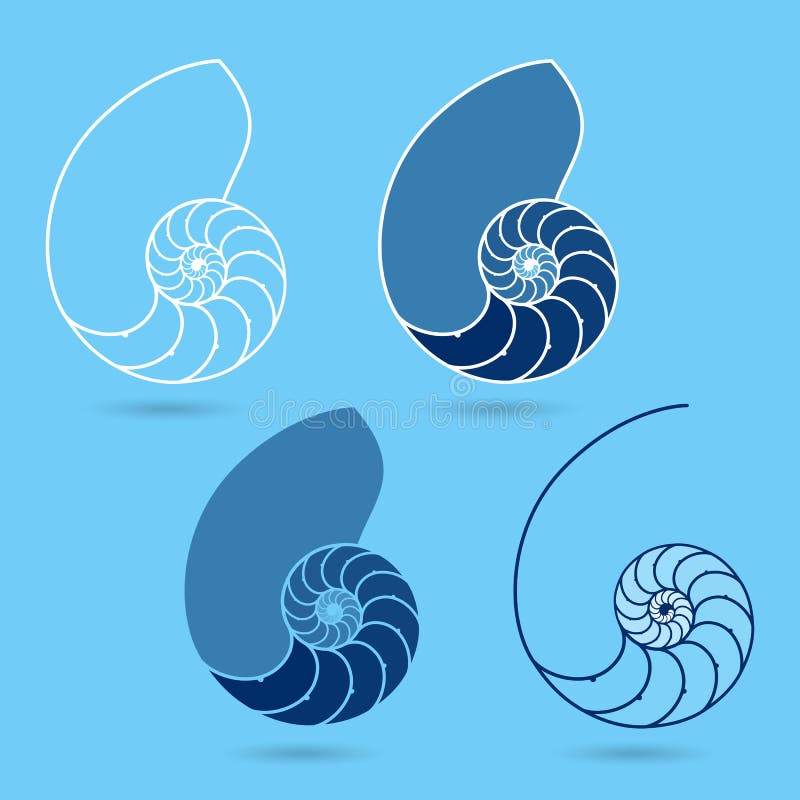 Vector illustration of different Nautilus shells. Vector illustration of different Nautilus shells