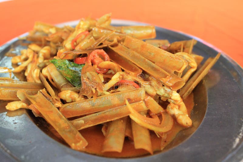 Shellfish curry stock photo. Image of dish, fresh, sour - 39939800