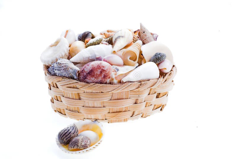 Assignment; beach; logo; marine; ocean; sea; shells; spiral; visions; white; background; isolate; basket,. Assignment; beach; logo; marine; ocean; sea; shells; spiral; visions; white; background; isolate; basket,