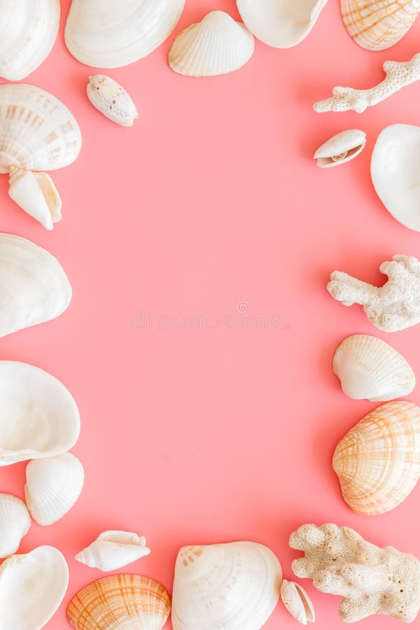 Shells frame for beach pattern on pink background top view space for text stock image
