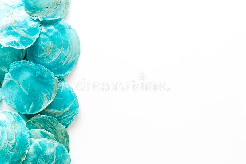 Shells frame for design of blog on white background top view mockup royalty free stock photos