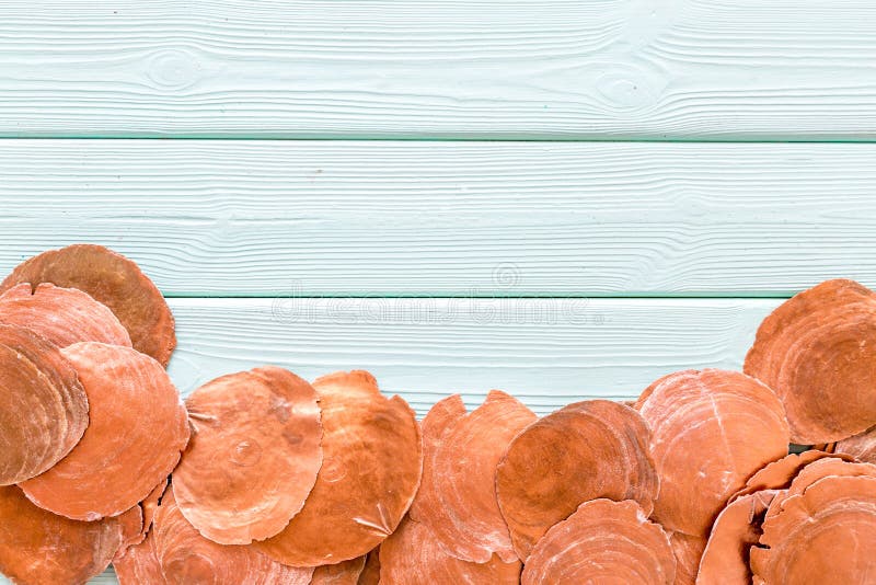 Shells frame on mint green wooden background top view copyspace stock photo