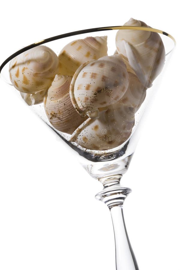 Shells in a glass