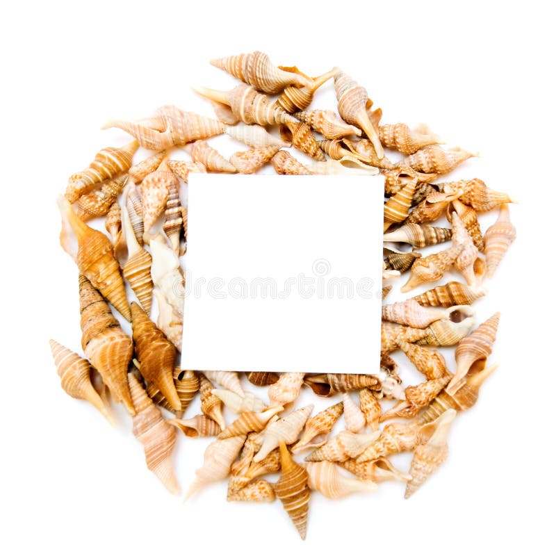 Shells and paper royalty free stock image