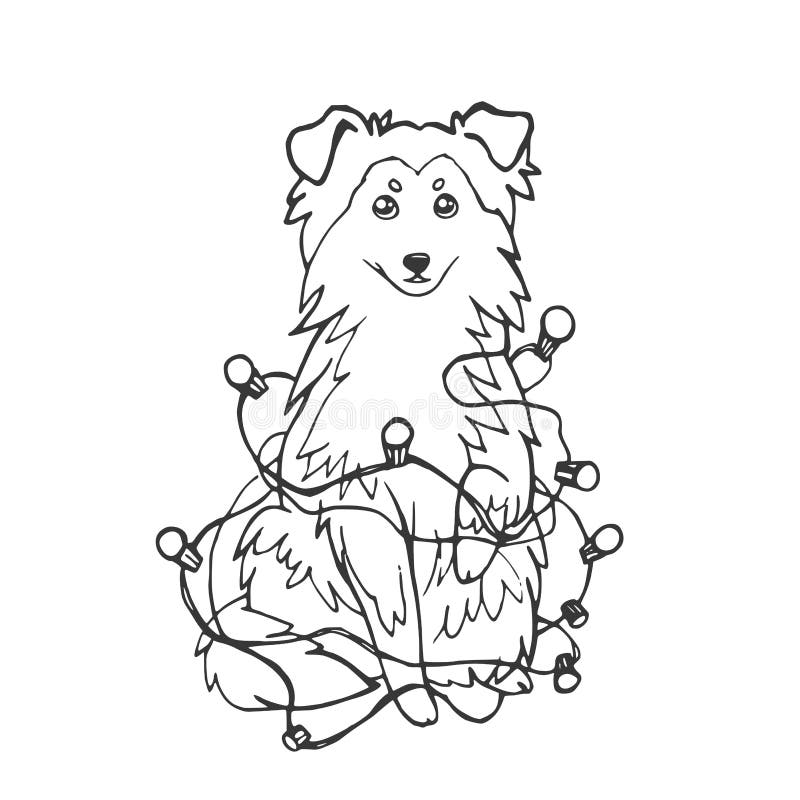 Sheltie设德蓝群岛牧羊犬狗或大牧羊犬在一本新年s诗歌选向量例证 插画包括有庆祝 断言 Sheltie设德蓝群岛牧羊犬狗或大牧羊犬在一本新年s诗歌选向量例证 插画包括有庆祝 断言