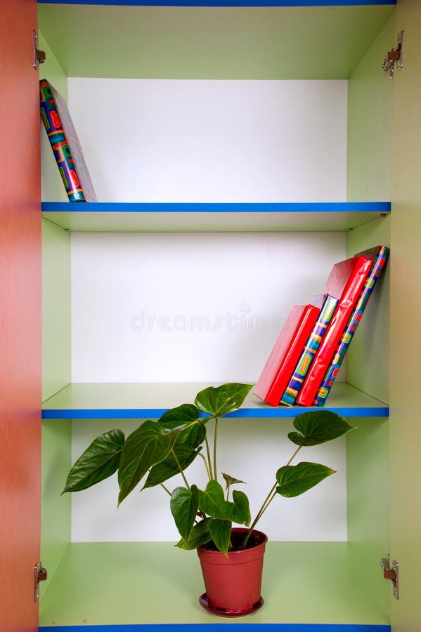 Shelves with a Plant and Books Stock Photo Image of closet, reading