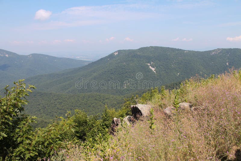 Shenandoah nationalparkberg arkivbilder Shenandoah nationalparkberg arkivbilder