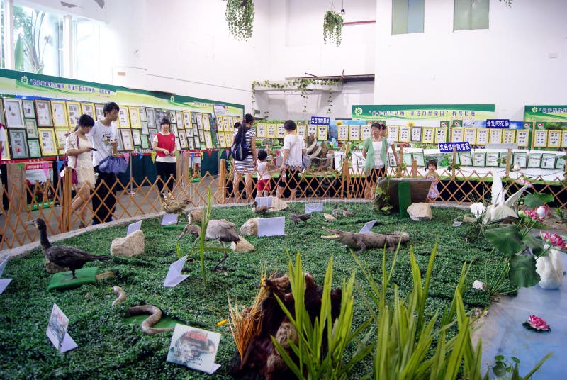 Shenzhen China Animal Specimen Exhibition Editorial Photography