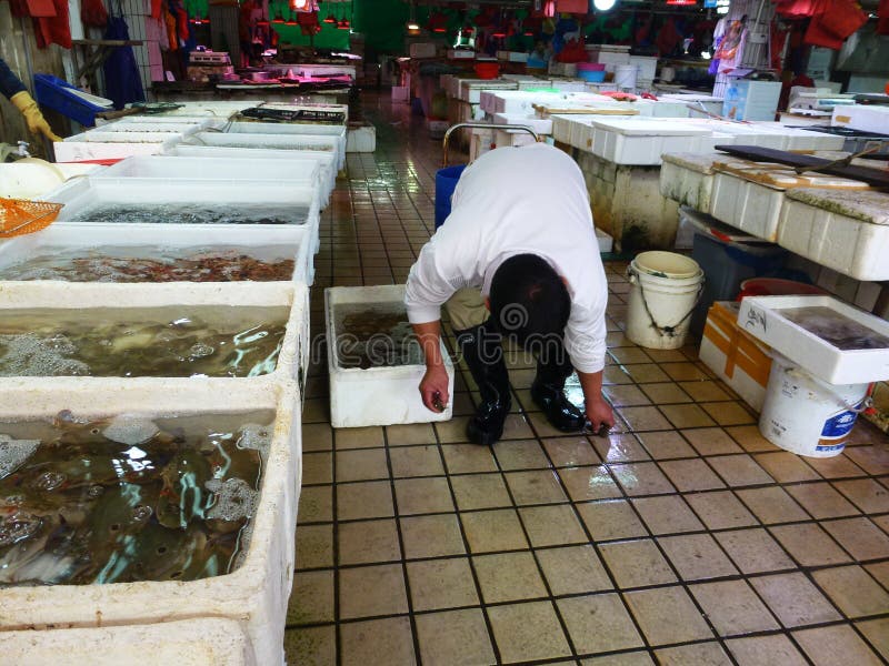 Shenzhen, Κίνα: το τοπίο αγοράς θαλασσινών, άνθρωποι αγοράζει τα φρέσκα θαλασσινά στοκ εικόνες με δικαίωμα ελεύθερης χρήσης Shenzhen, Κίνα: το τοπίο αγοράς θαλασσινών, άνθρωποι αγοράζει τα φρέσκα θαλασσινά στοκ εικόνες με δικαίωμα ελεύθερης χρήσης