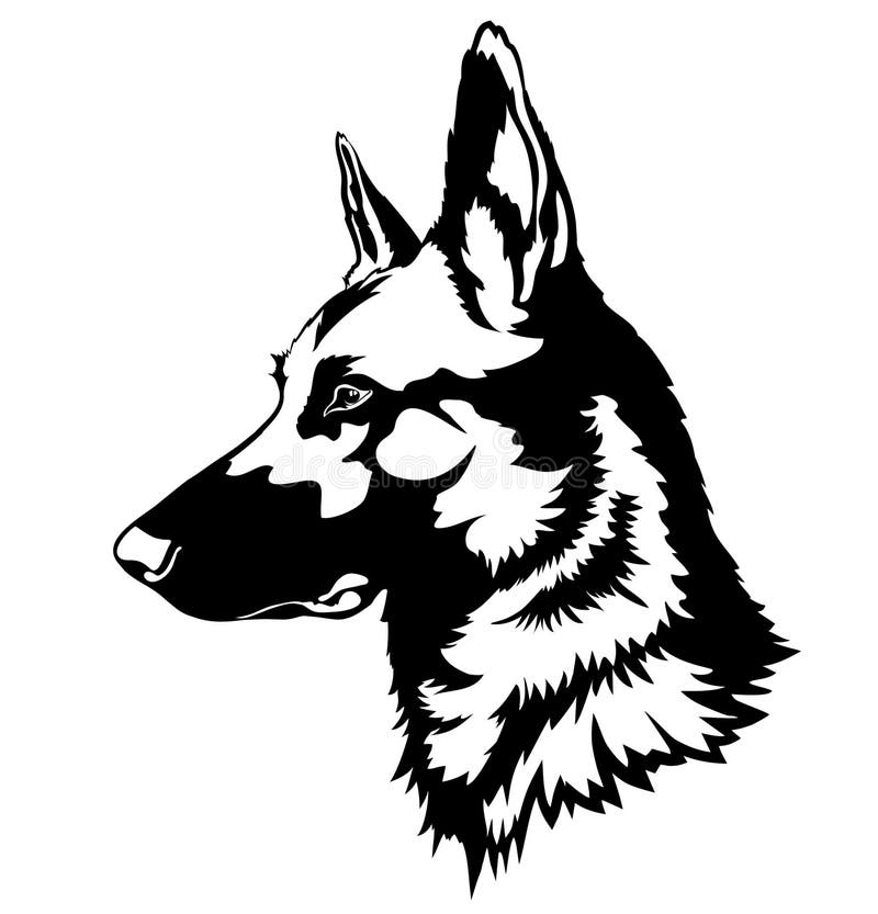 Shepherd Dog Portrait stock illustration