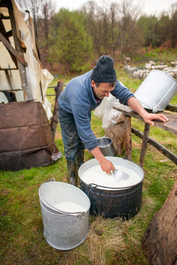 Shepherd Preparing Milk for Cheese Making at the Farm in Transylvania