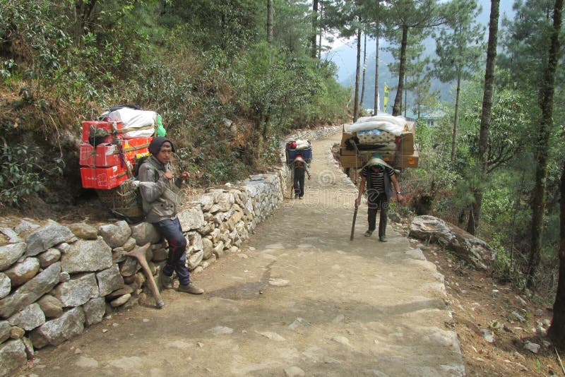 Sherpa furtian niesie kosz w Nepal trekking ścieżce obraz stock Sherpa furtian niesie kosz w Nepal trekking ścieżce obraz stock