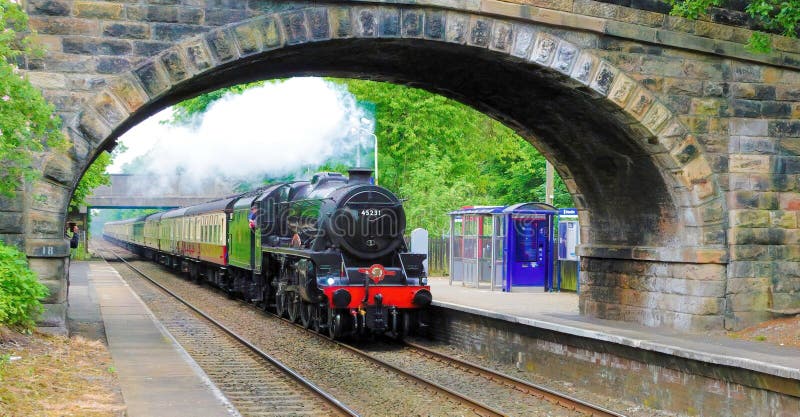 The Sherwood Forester steam train.