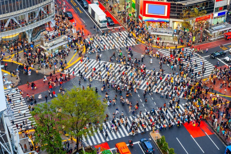 Shibuya, Tokyo, Japan crosswalk and cityscape in the late afternoon. Shibuya, Tokyo, Japan crosswalk and cityscape in the late afternoon