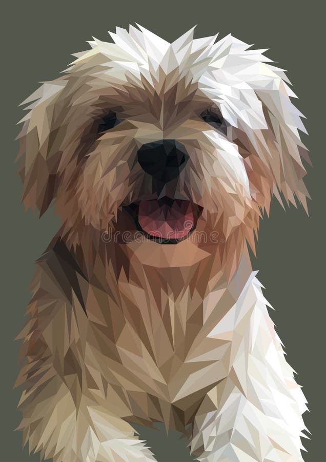 Maltese Shih Tzu Stock Illustrations – 258 Maltese Shih Tzu Stock  Illustrations, Vectors & Clipart - Dreamstime