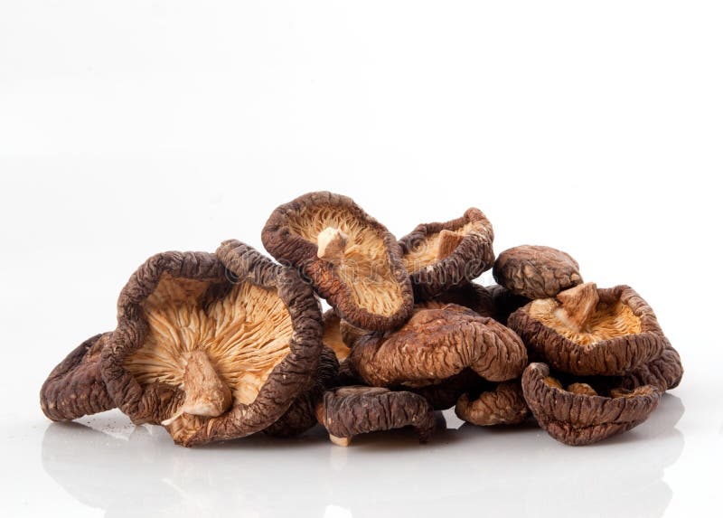 Shiitake stock image. Image of china, korean, white, mushroom 28246863