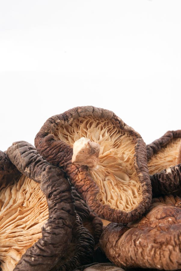 Shiitake stock image. Image of china, korean, white, mushroom 28246863