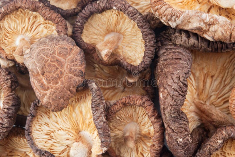 Shiitake stock image. Image of china, korean, white, mushroom 28246863