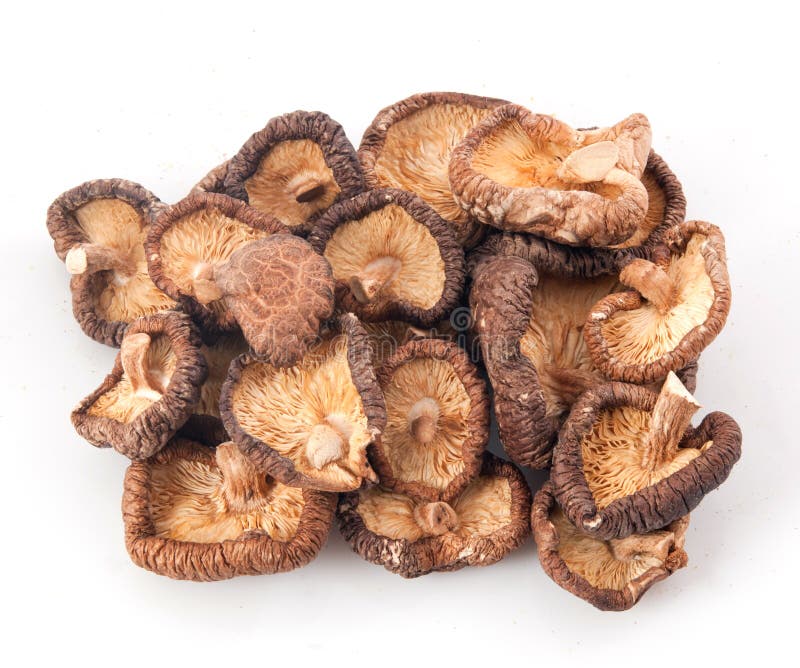 Shiitake stock image. Image of china, korean, white, mushroom 28246863