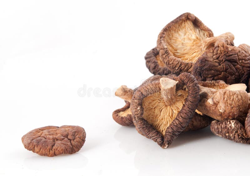 Shiitake stock image. Image of china, korean, white, mushroom 28246863