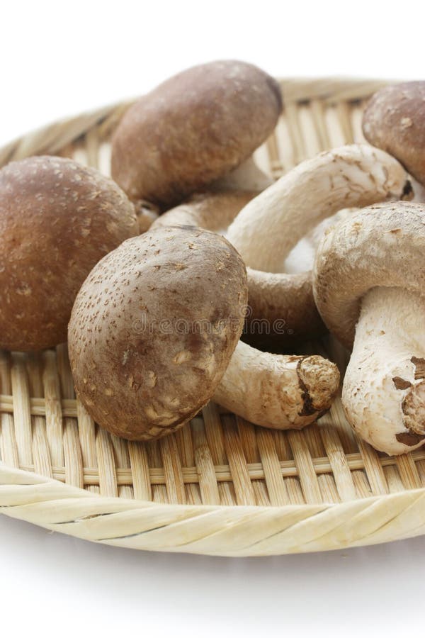 Shiitake, Japanese Mushrooms Stock Photo Image of cuisine, food 21001464