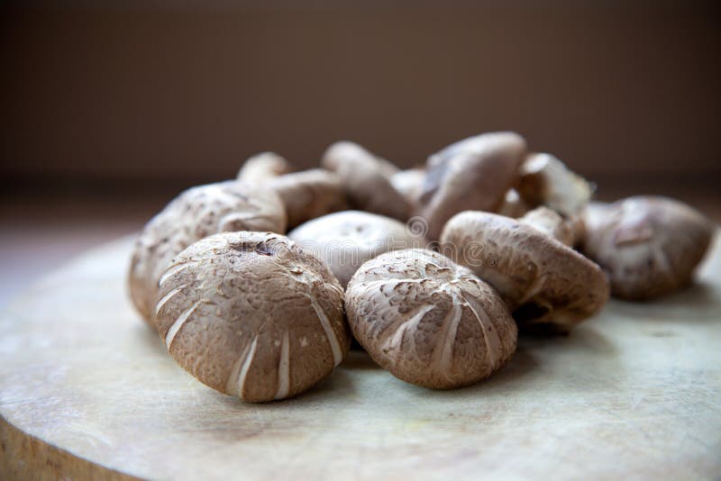 Shiitake Mushroom stock image. Image of lentinula, color 24369403