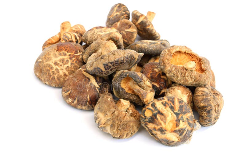 Shiitake Mushroom dry stock image. Image of stem, isolated 25283501