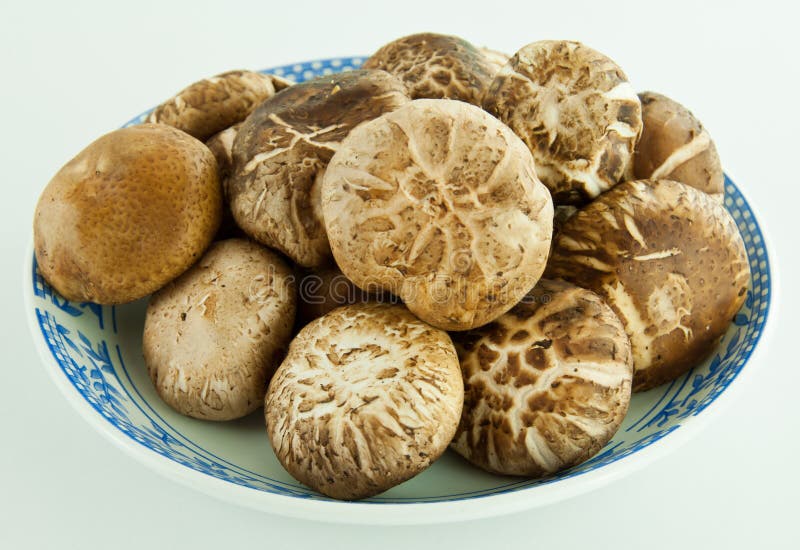 Korean Edible Mushrooms Macro Stock Photo Image of edible, nature