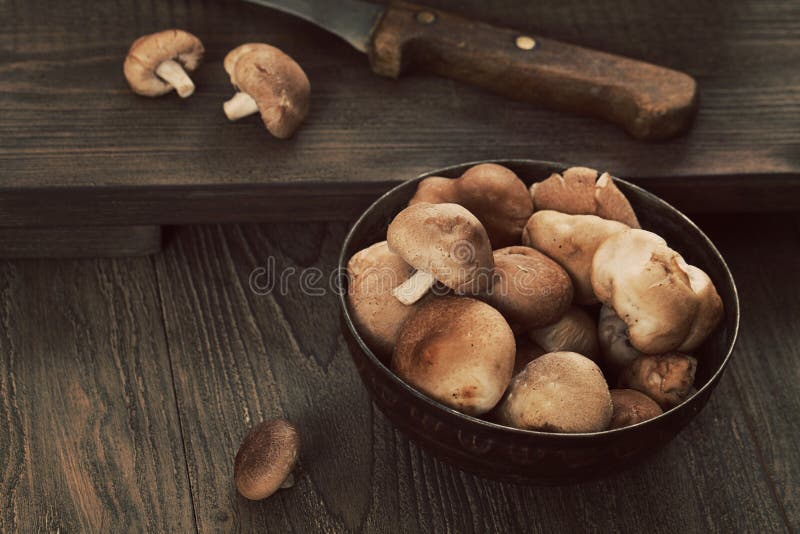 Shiitake mushrooms. Cooking imgredients. Shiitake mushrooms on wood stock image