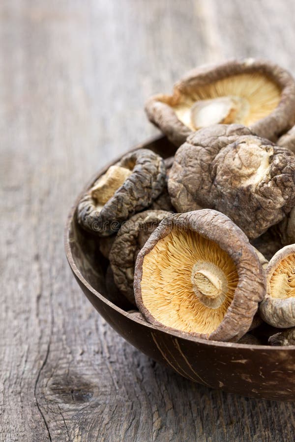 Shiitake seco foto de archivo libre de regalías
