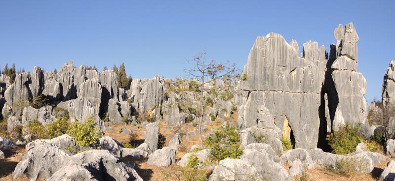 Shilin stone forest near kunming yunnan royalty free stock photography Shilin stone forest near kunming yunnan royalty free stock photography