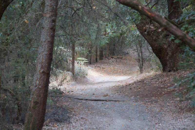 Shiloh Ranch Regional The park includes oak woodlands, forests of mixed evergreens, ridges with sweeping views of the Santa Rosa