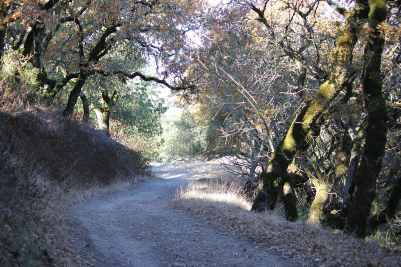 Shiloh Ranch Regional Park in southeast Windsor features a rugged landscape in the foothills of the Mayacamas Mountains.