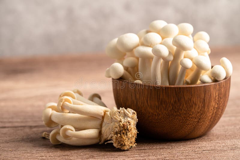Shimeji, Fresh White Bunapi Mushroom from Asia Stock Photo Image of